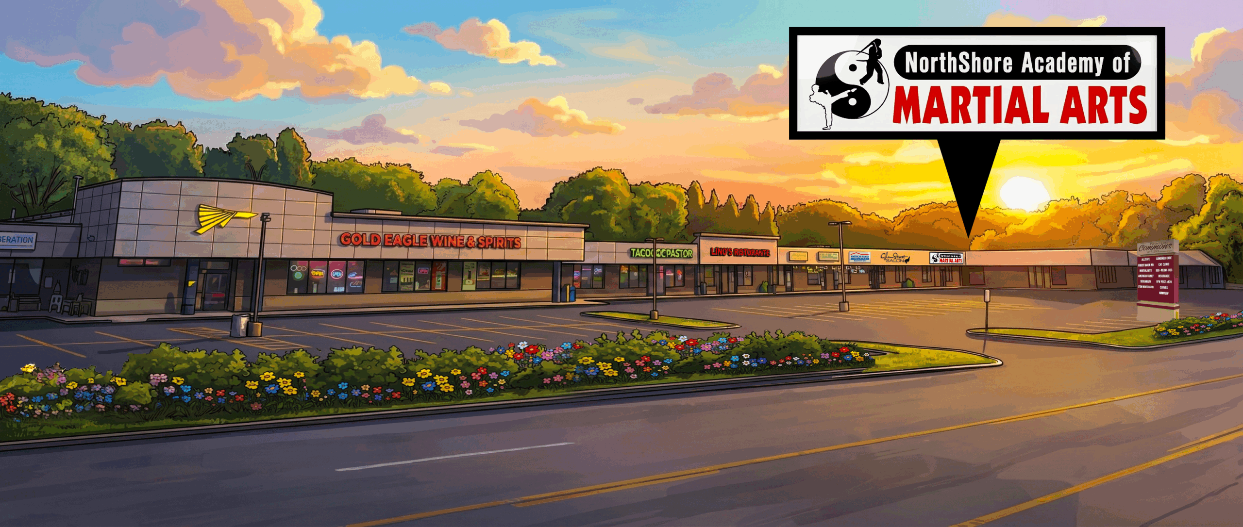 Northshore Academy of Martial Arts Libertyville, IL